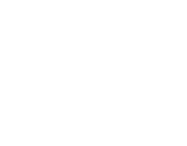 Sol Vida